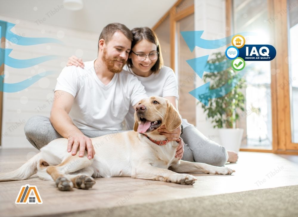 Couple wearing white shirt sitting on the floor inside the house with their pet dog, House with good indoor air quality