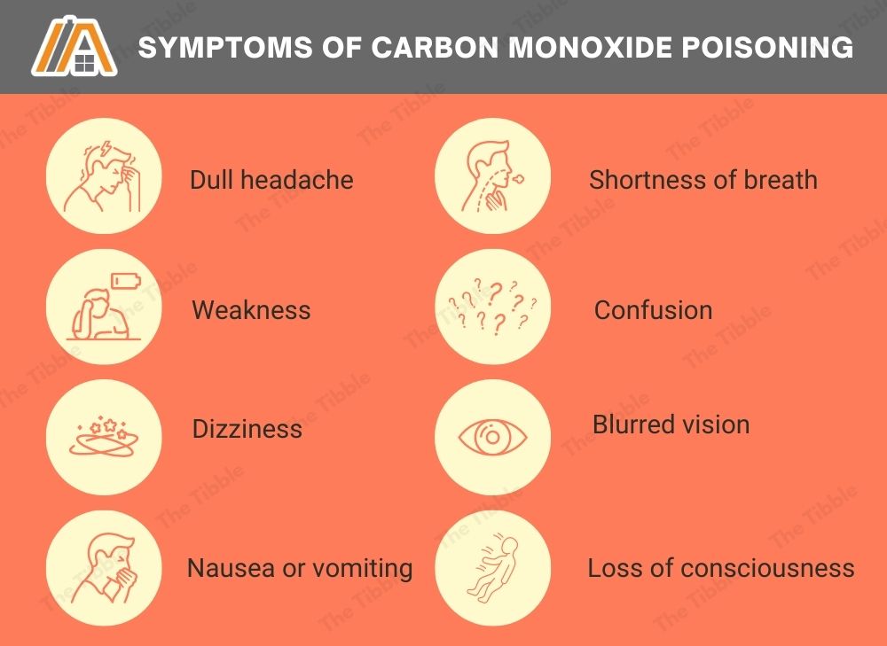 Symptoms of carbon monoxide poisoning