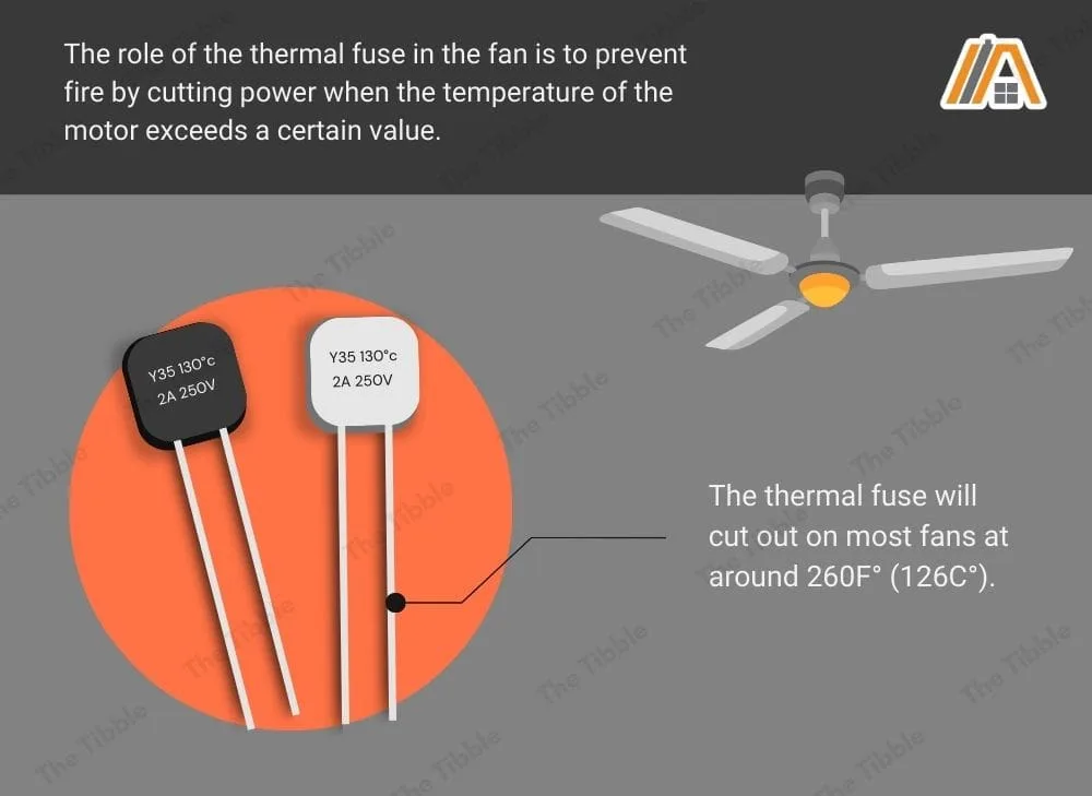 Thermal fuse in a ceiling fan illustration, the role of thermal fuse