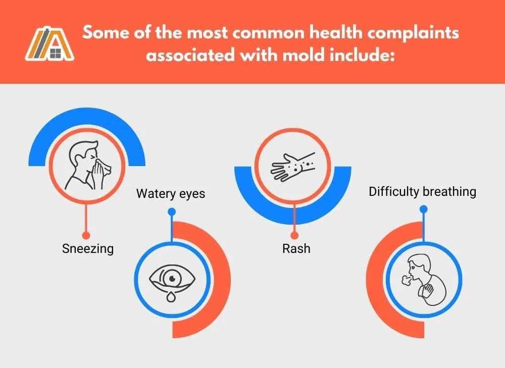 most common health complaints associated with mold infographic.